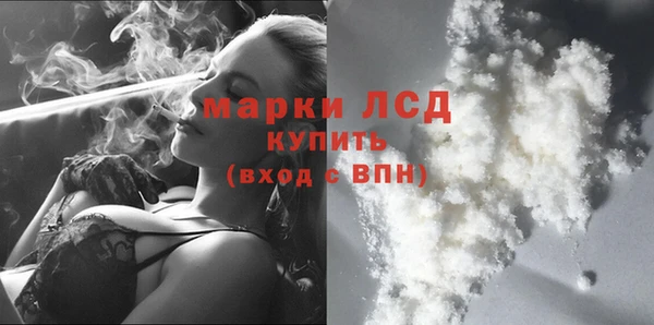 шишки Вязники