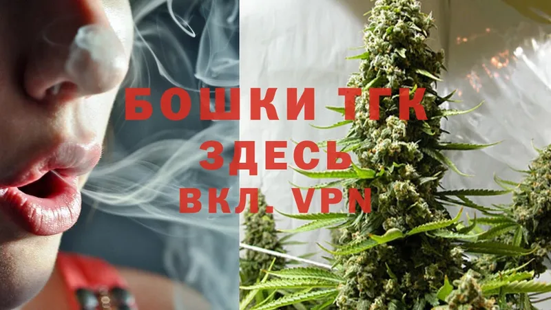 Бошки марихуана THC 21%  Жирновск 